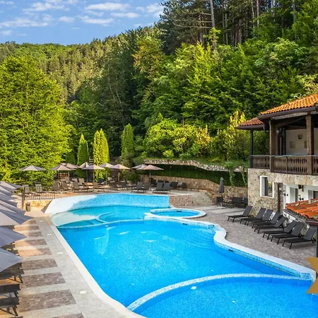 Alfaresort Palace Chiflika Hotel Chiflik (Lovech)