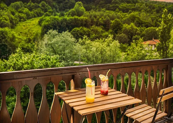 Hotel Alfaresort Palace Chiflika Chiflik (Lovech)